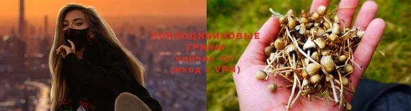 a pvp Балабаново