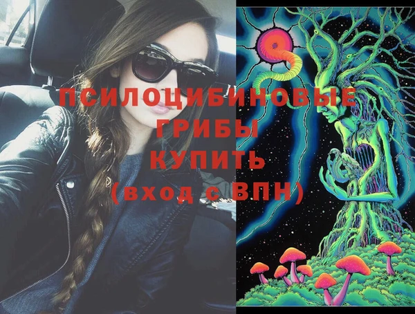 дурь Заводоуковск