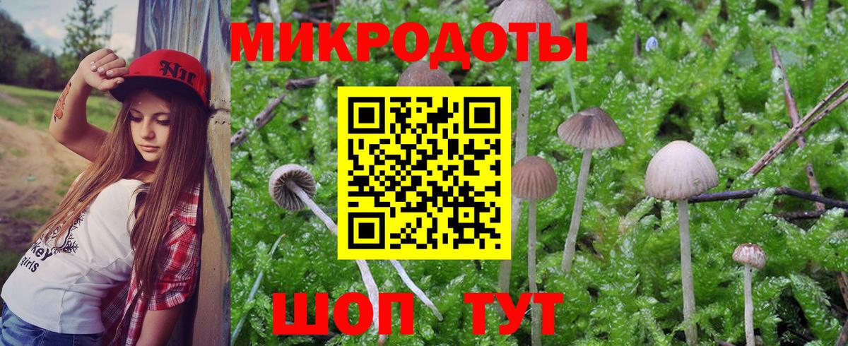 Галлюциногенные грибы GOLDEN TEACHER  купить наркотик  Карабулак  Псилоцибиновые грибы мухоморы  Вход с VPN 