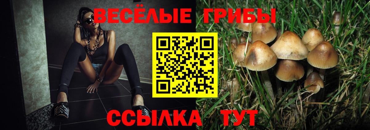 Псилоцибиновые грибы прущие грибы Карабулак